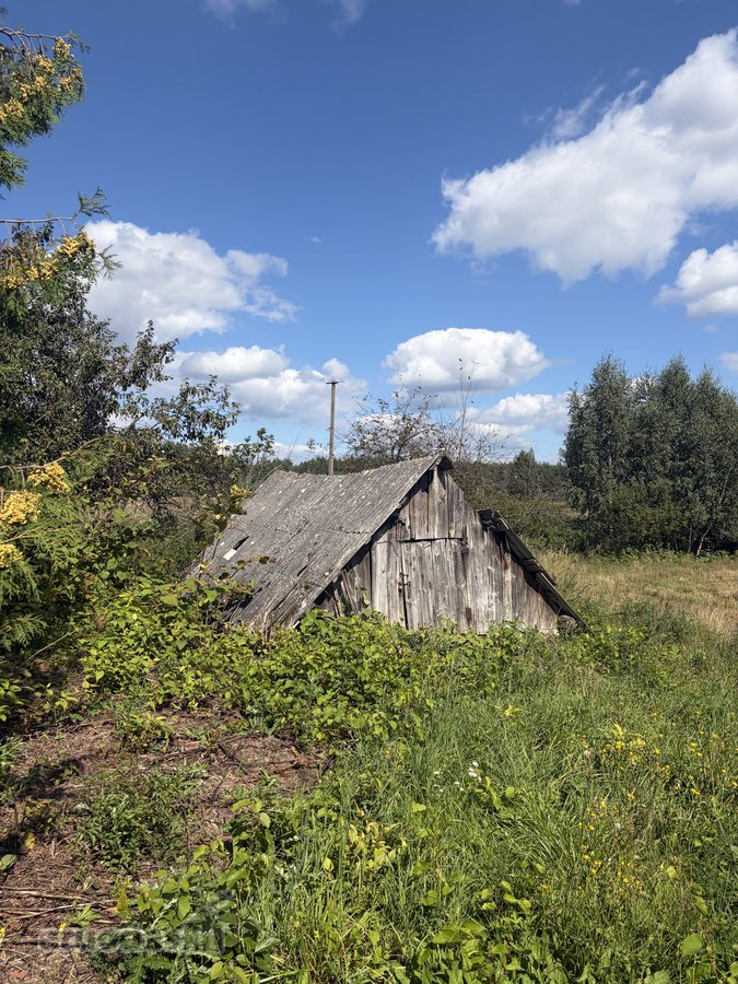 Jauki sodyba 10 km nuo Druskininkų – gamtos - nuotraukos Nr. 13