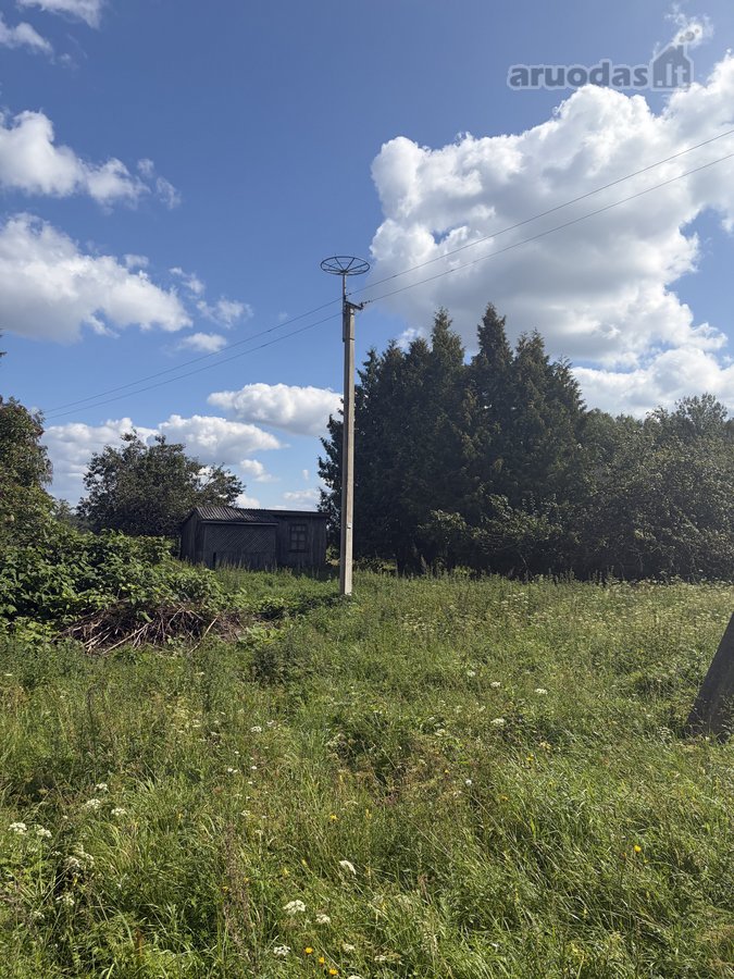 Jauki sodyba 10 km nuo Druskininkų – gamtos - nuotraukos Nr. 25