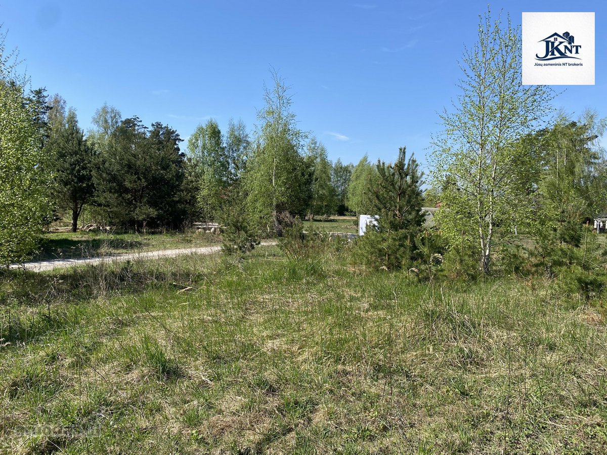 Parduodami 3 namų valdos sklypai vienas šalia - nuotraukos Nr. 12