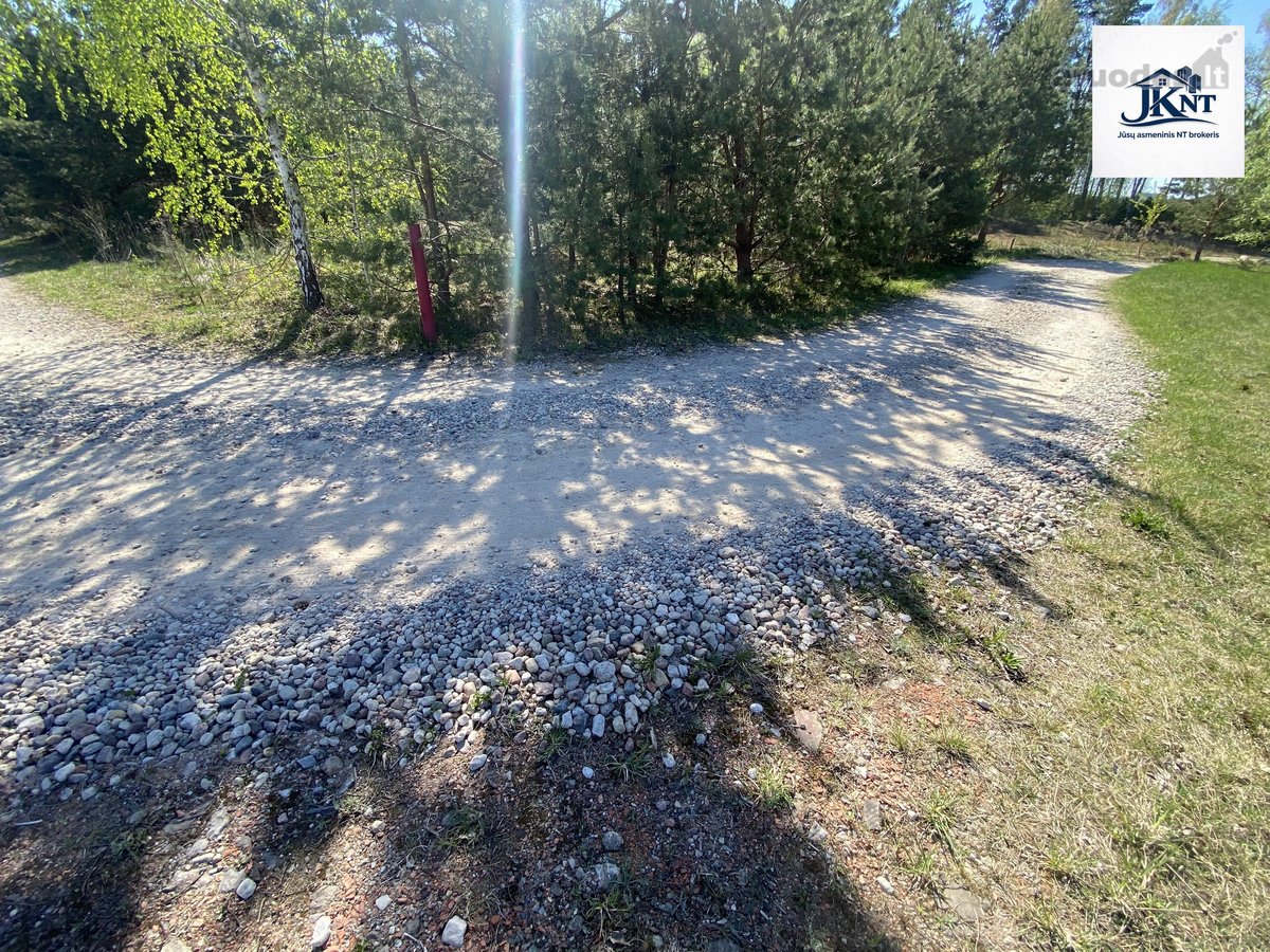 Parduodami 3 namų valdos sklypai vienas šalia - nuotraukos Nr. 18