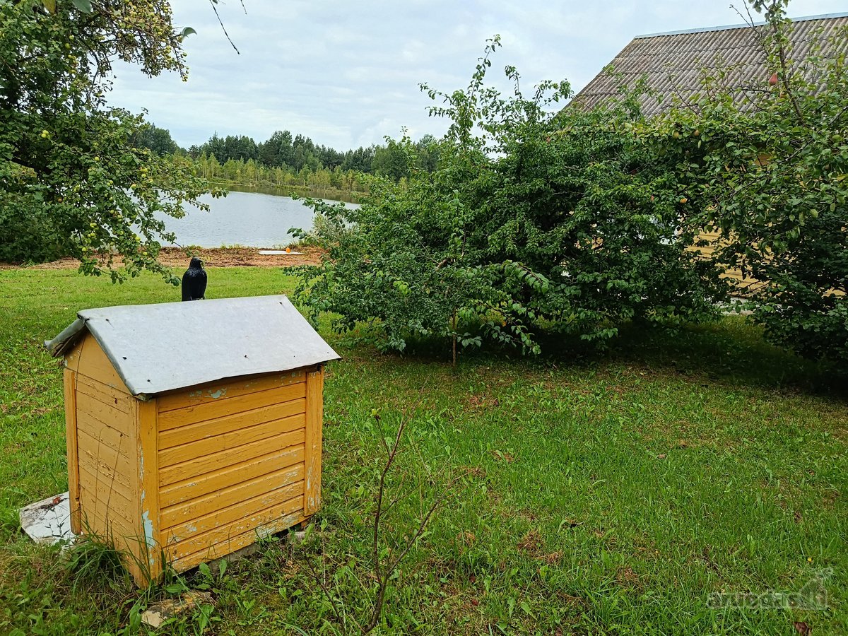 Parduodama autentiška sodyba ant Genionių - nuotraukos Nr. 14