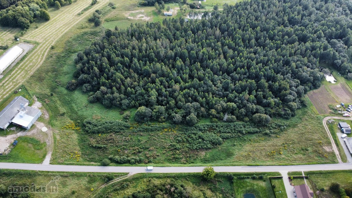 Parduodamas didelis 2,89 ha žemės ūkio - nuotraukos Nr. 5