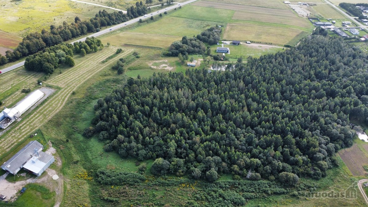Parduodamas didelis 2,89 ha žemės ūkio - nuotraukos Nr. 6