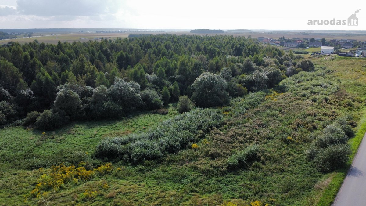 Parduodamas didelis 2,89 ha žemės ūkio - nuotraukos Nr. 7