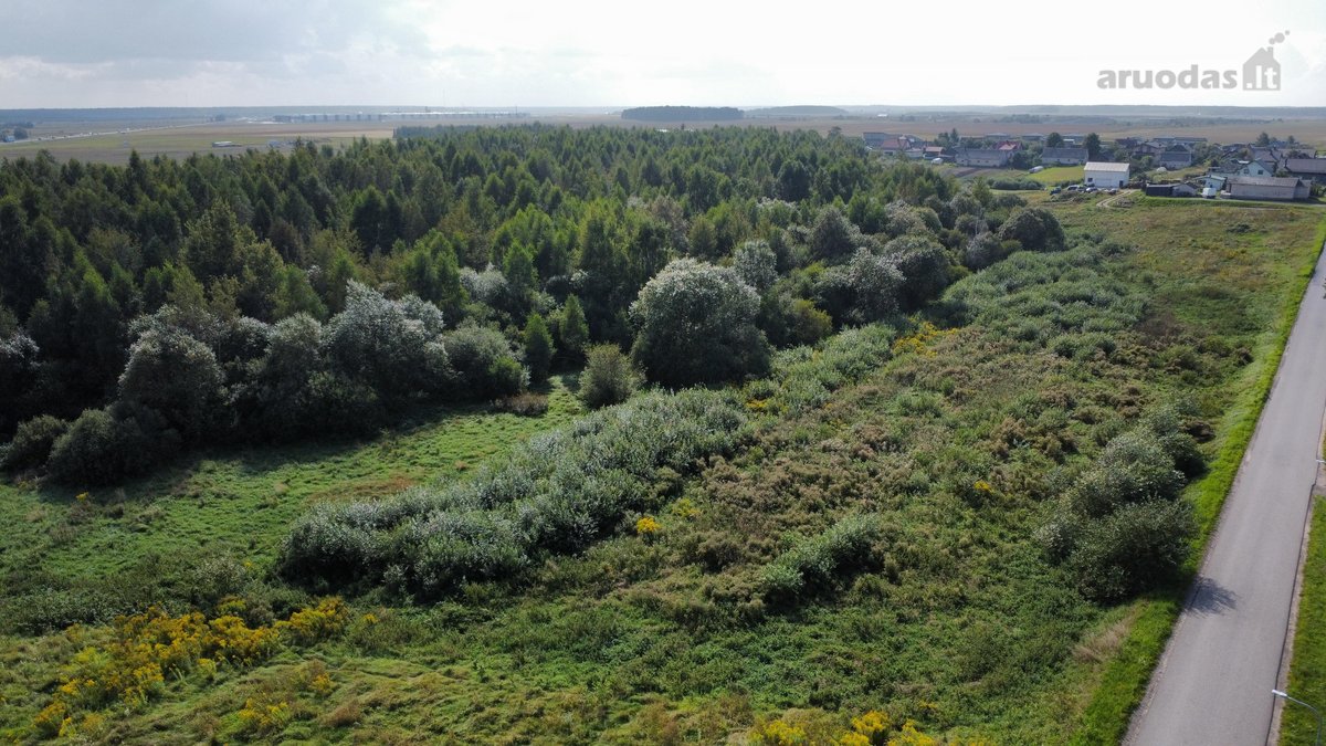 Parduodamas didelis 2,89 ha žemės ūkio - nuotraukos Nr. 9