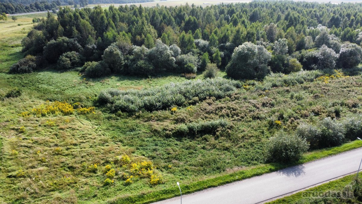 Parduodamas didelis 2,89 ha žemės ūkio - nuotraukos Nr. 8