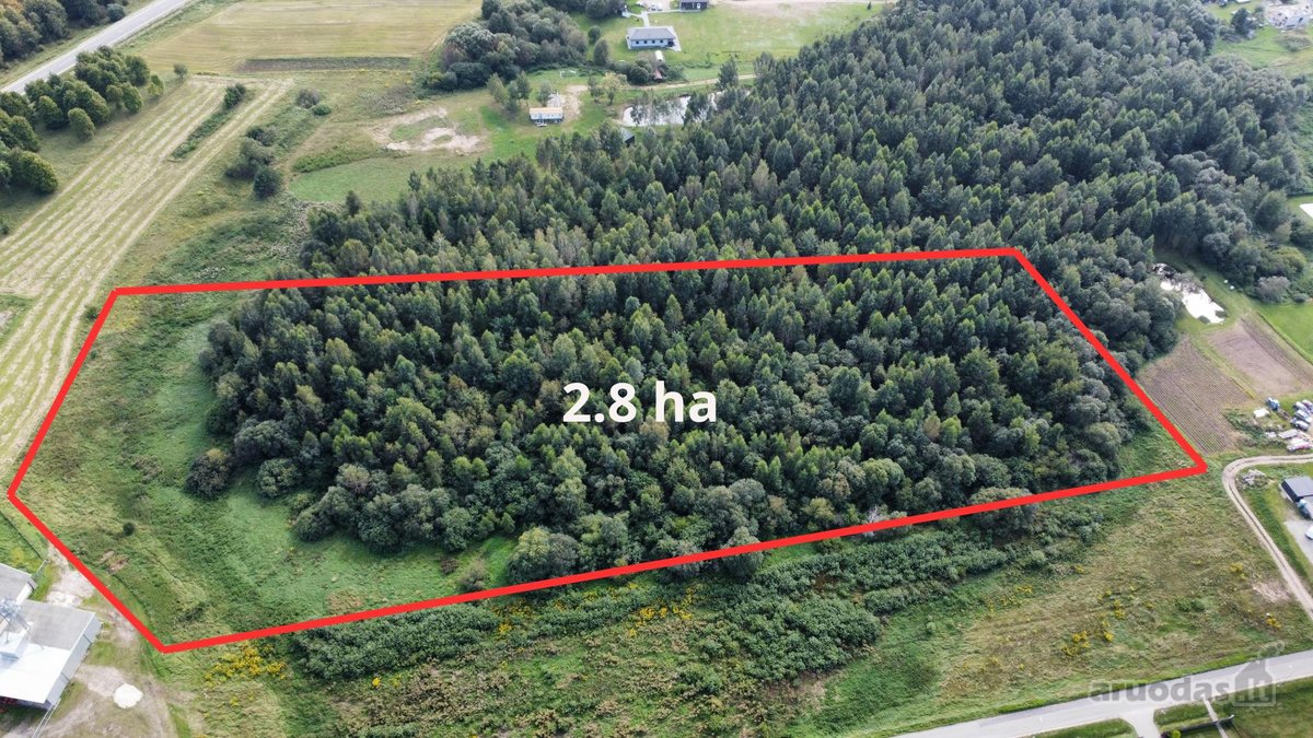 Parduodamas didelis 2,89 ha žemės ūkio - nuotraukos Nr. 4
