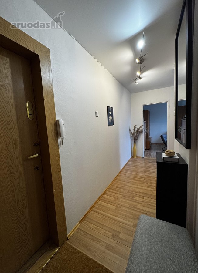 Šviesus Ir Tvarkingas 1 Kambario Butas - nuotraukos Nr. 6