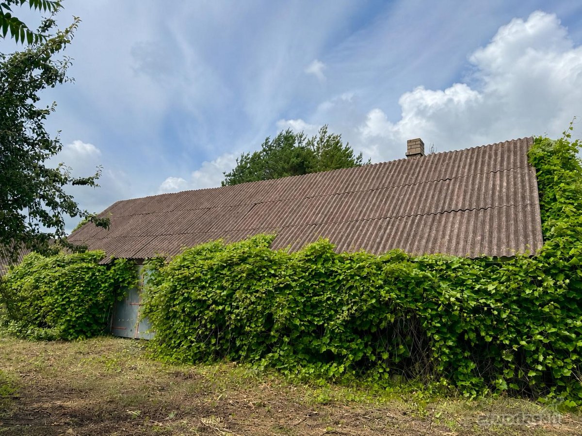 Erdvus Namas Su 33 Arų Sklypu, Brandžiu Sodu - nuotraukos Nr. 12