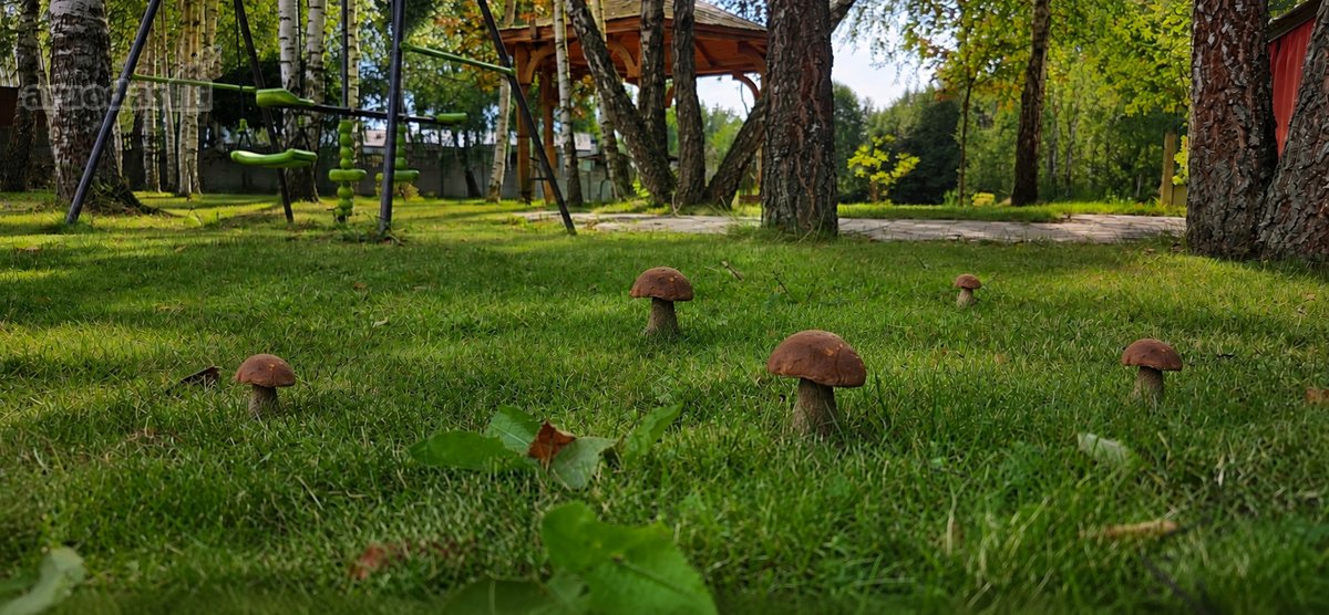 Parduodamas Išskirtinis Sklypas Galgiuose, - nuotraukos Nr. 9