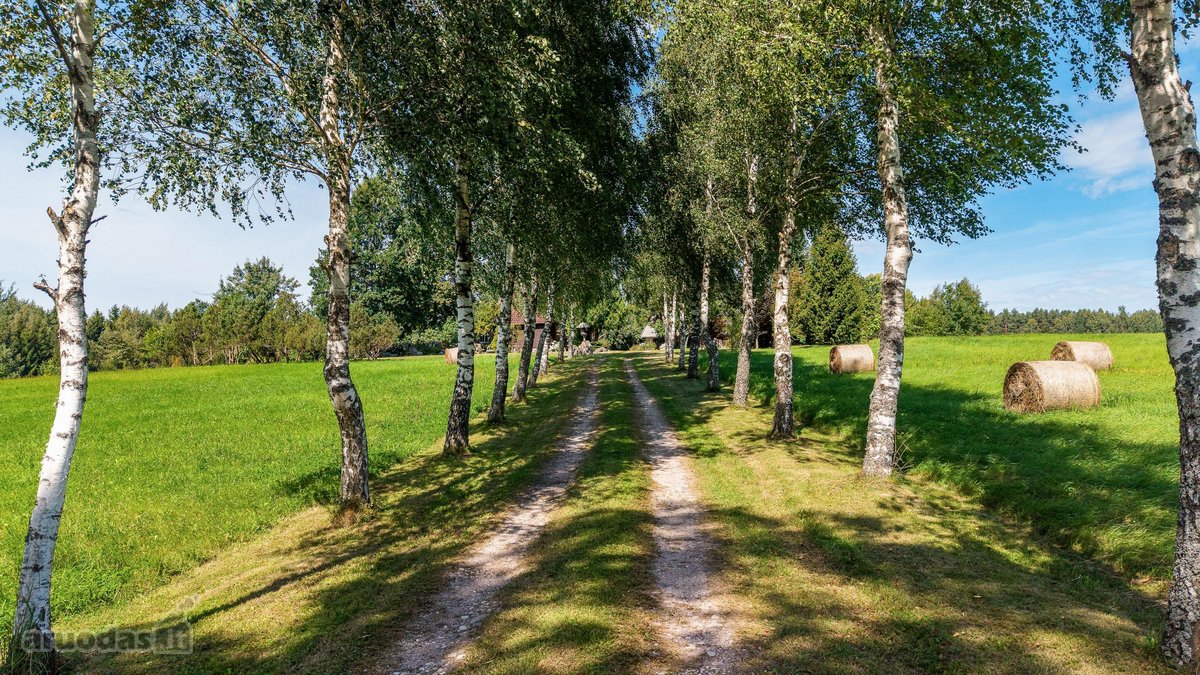 Išskirtinė 3,2 Ha Sodyba Šalia Švėkšnos – - nuotraukos Nr. 24