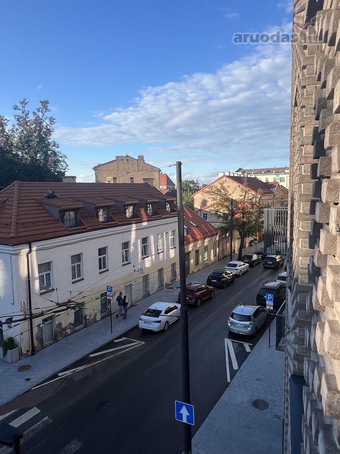 Moderni studija prabangiame „renesanso“ - nuotraukos Nr. 6