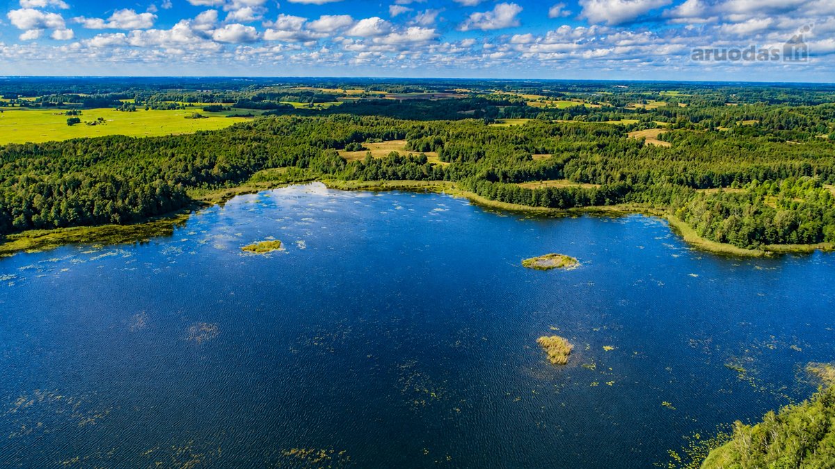 Parduodamas paskutinis namų valdos sklypas - nuotraukos Nr. 2