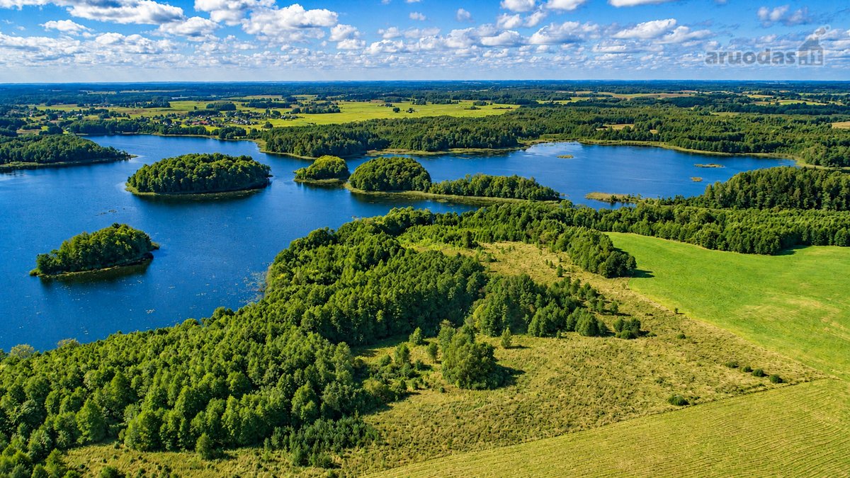 Parduodamas paskutinis namų valdos sklypas - nuotraukos Nr. 6