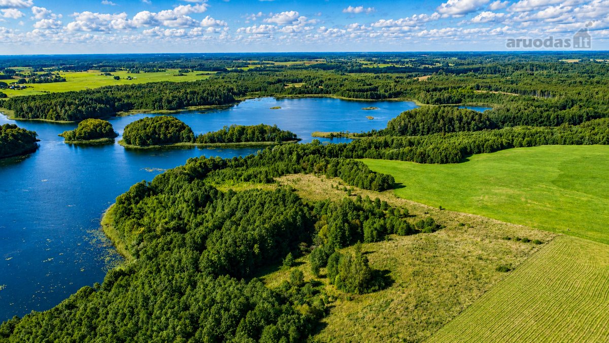 Parduodamas paskutinis namų valdos sklypas - nuotraukos Nr. 20