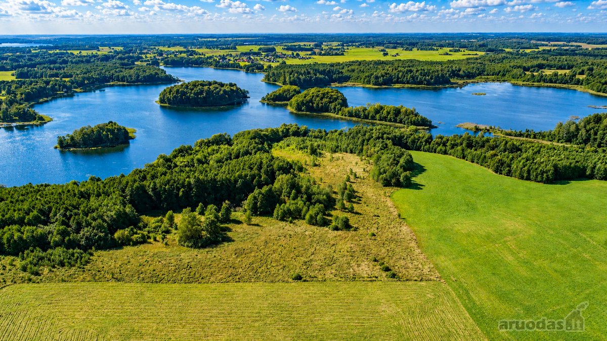 Parduodamas paskutinis namų valdos sklypas - nuotraukos Nr. 22