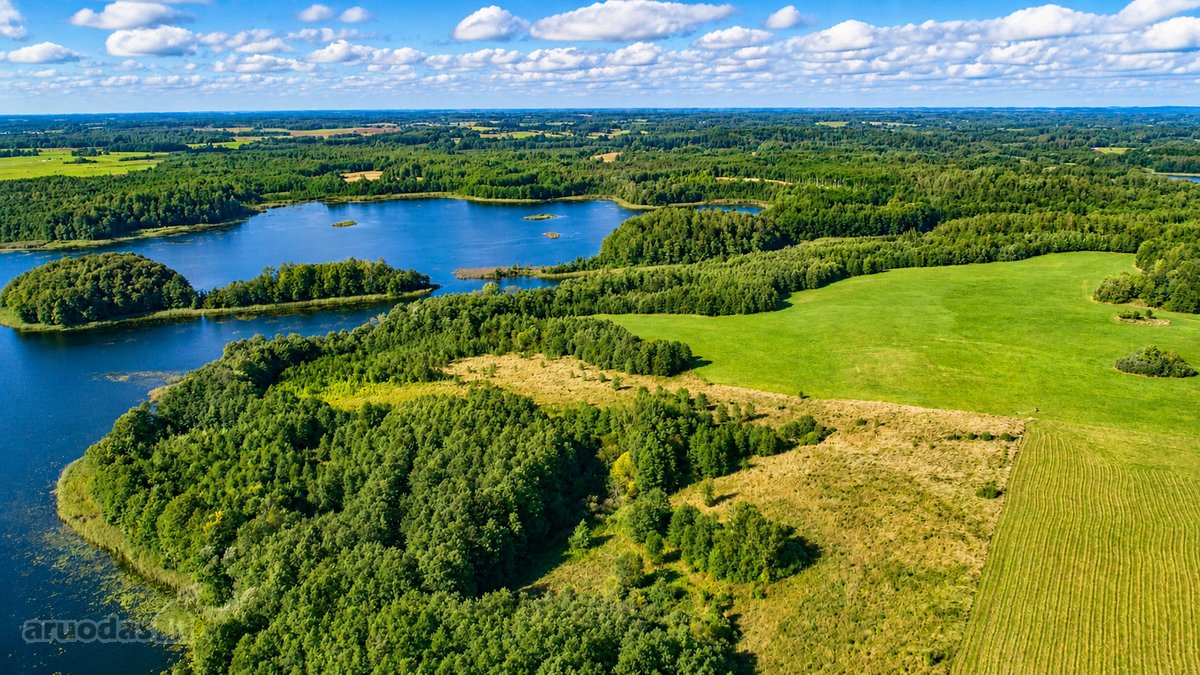 Parduodamas paskutinis namų valdos sklypas - nuotraukos Nr. 23