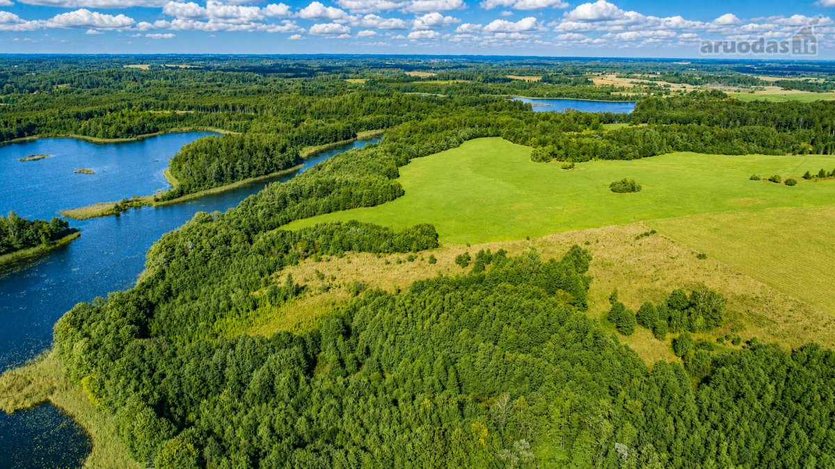 Parduodamas paskutinis namų valdos sklypas - nuotraukos Nr. 25