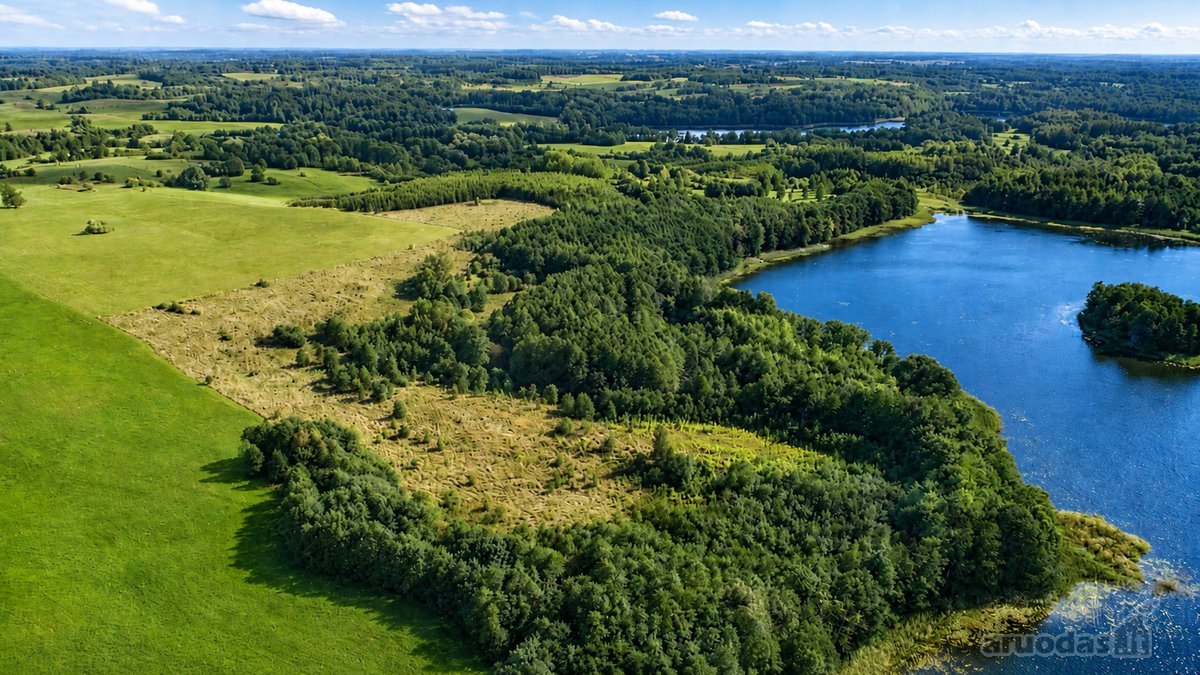 Parduodamas paskutinis namų valdos sklypas - nuotraukos Nr. 33