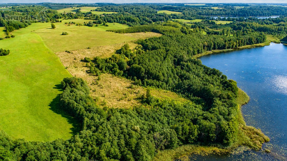 Parduodamas paskutinis namų valdos sklypas - nuotraukos Nr. 37