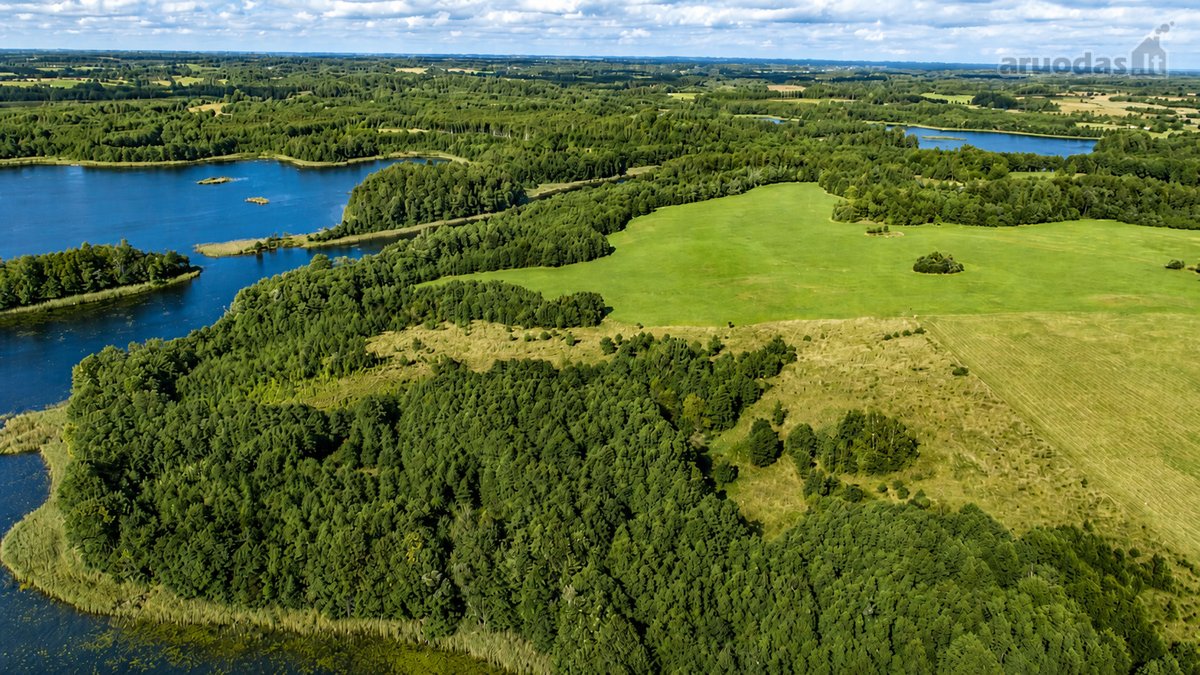 Parduodamas paskutinis namų valdos sklypas - nuotraukos Nr. 39