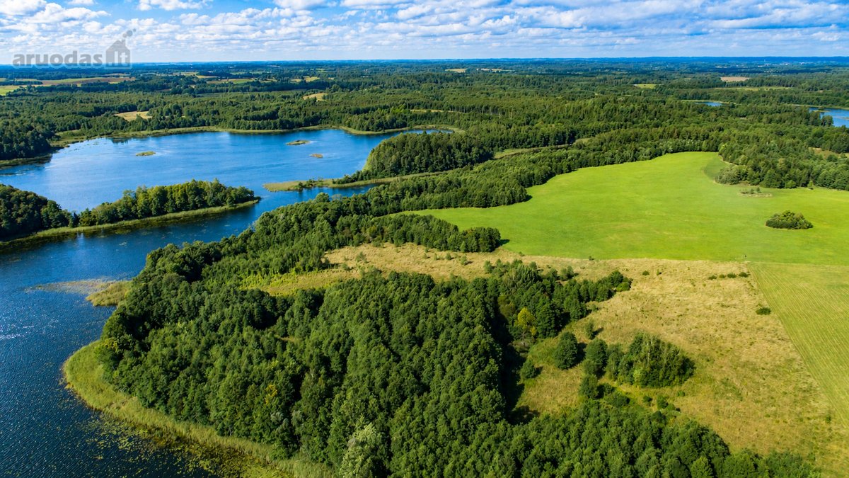 Parduodamas paskutinis namų valdos sklypas - nuotraukos Nr. 43