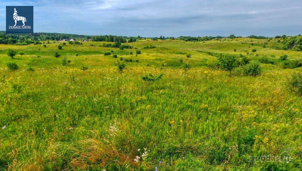 Sodybai Tinkamas Sklypas Prie Pat Pilaitės – - nuotraukos Nr. 11
