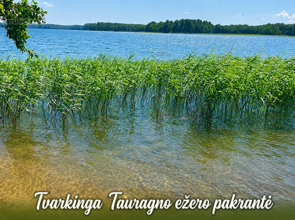 Istorinė Šeimaties Mokykla – Vieta, Kurią - nuotraukos Nr. 25