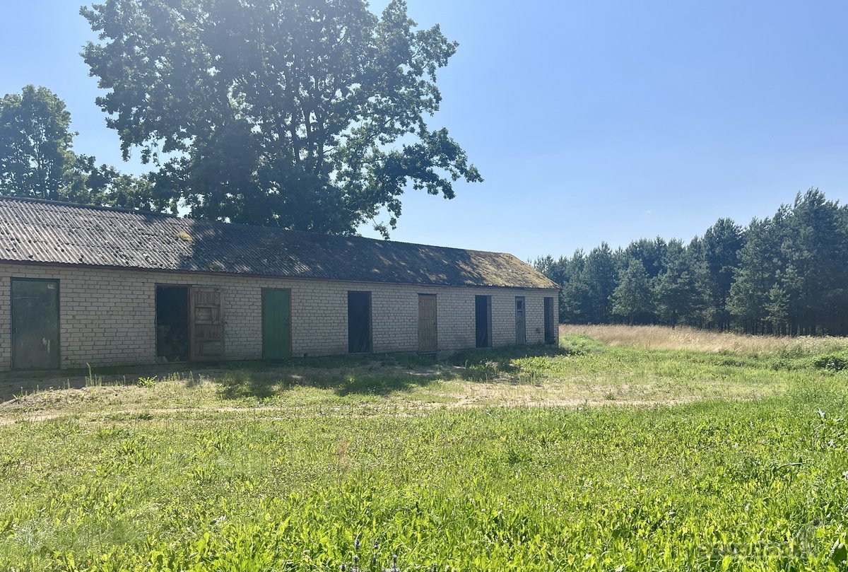 Istorinė Šeimaties Mokykla – Vieta, Kurią - nuotraukos Nr. 8