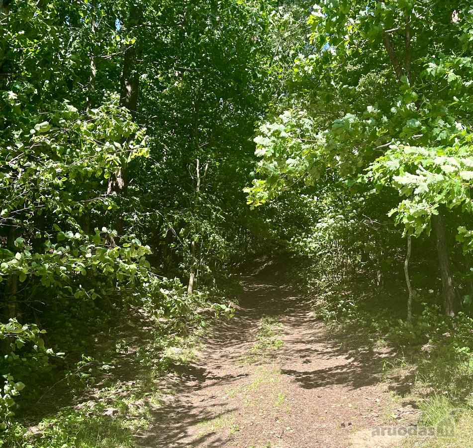 Istorinė Šeimaties Mokykla – Vieta, Kurią - nuotraukos Nr. 24