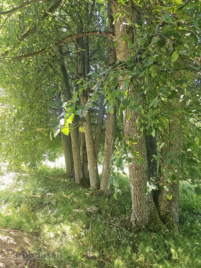 Istorinė Šeimaties Mokykla – Vieta, Kurią - nuotraukos Nr. 9