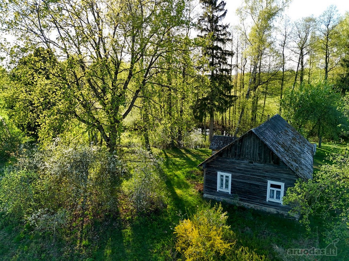 Tik 8 Km Nuo Utenos, 3 Ha Sklype, Antalgės - nuotraukos Nr. 10