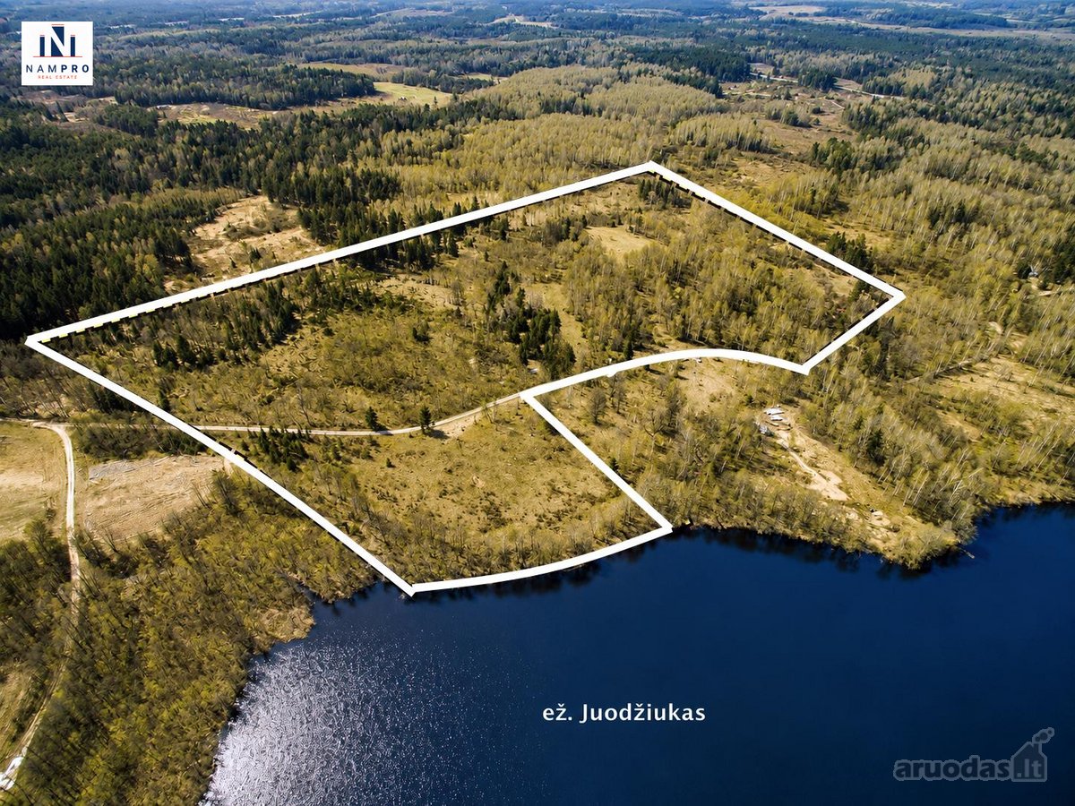 Parduodamas 12,88 ha (6,87 ha miškas) sklypas - nuotraukos Nr. 4