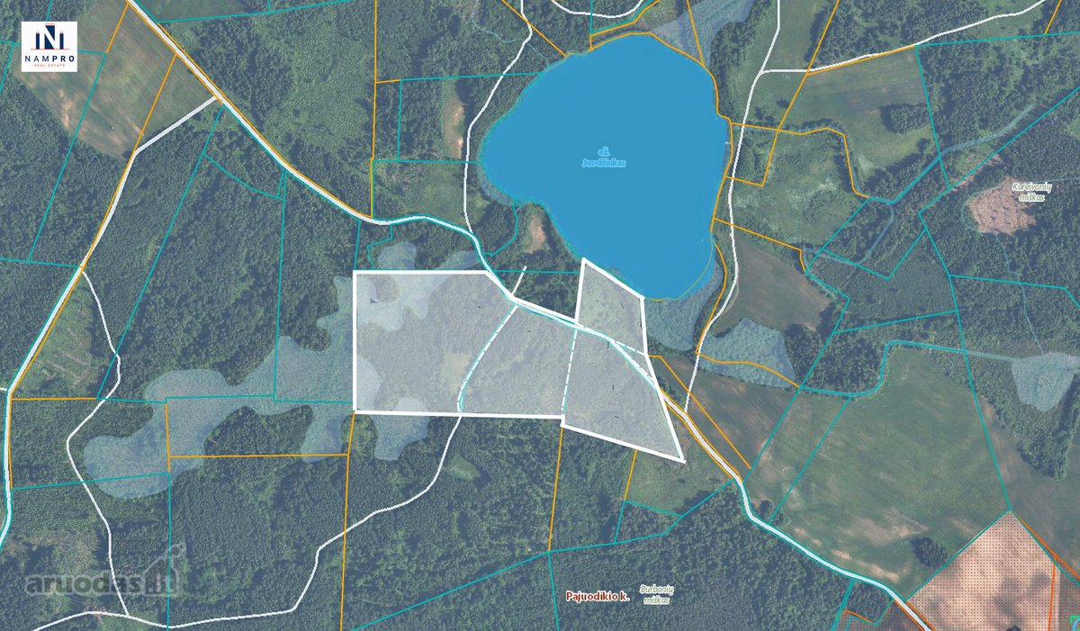 Parduodamas 12,88 ha (6,87 ha miškas) sklypas - nuotraukos Nr. 9
