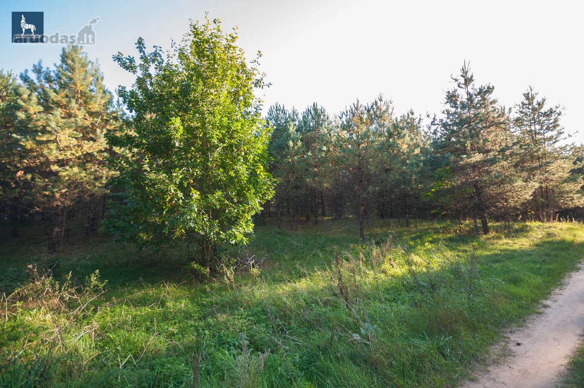 Parduodami Du Besiribojantys Žemės Sklypai - nuotraukos Nr. 3