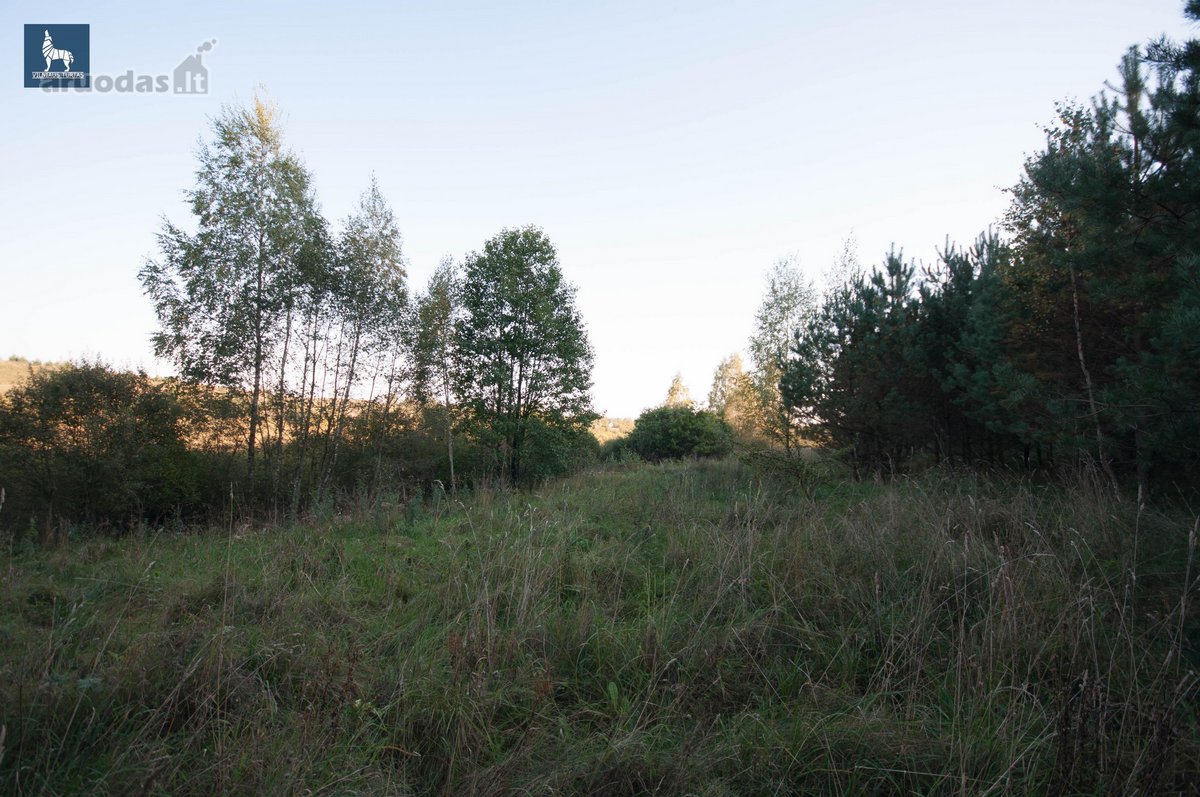 Parduodami Du Besiribojantys Žemės Sklypai - nuotraukos Nr. 4