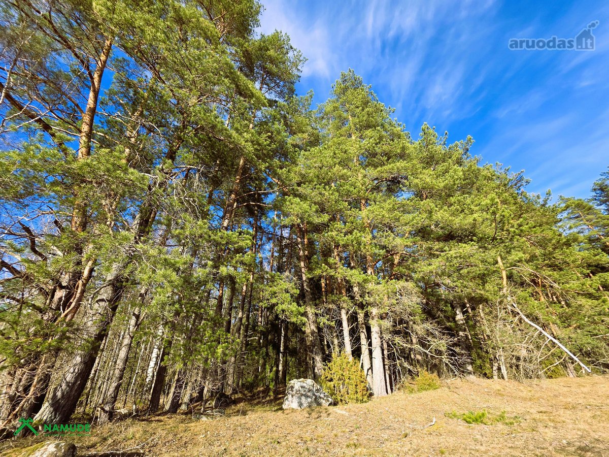 Išskirtinė 10,36 Ha Teritorija Šimonių - nuotraukos Nr. 7