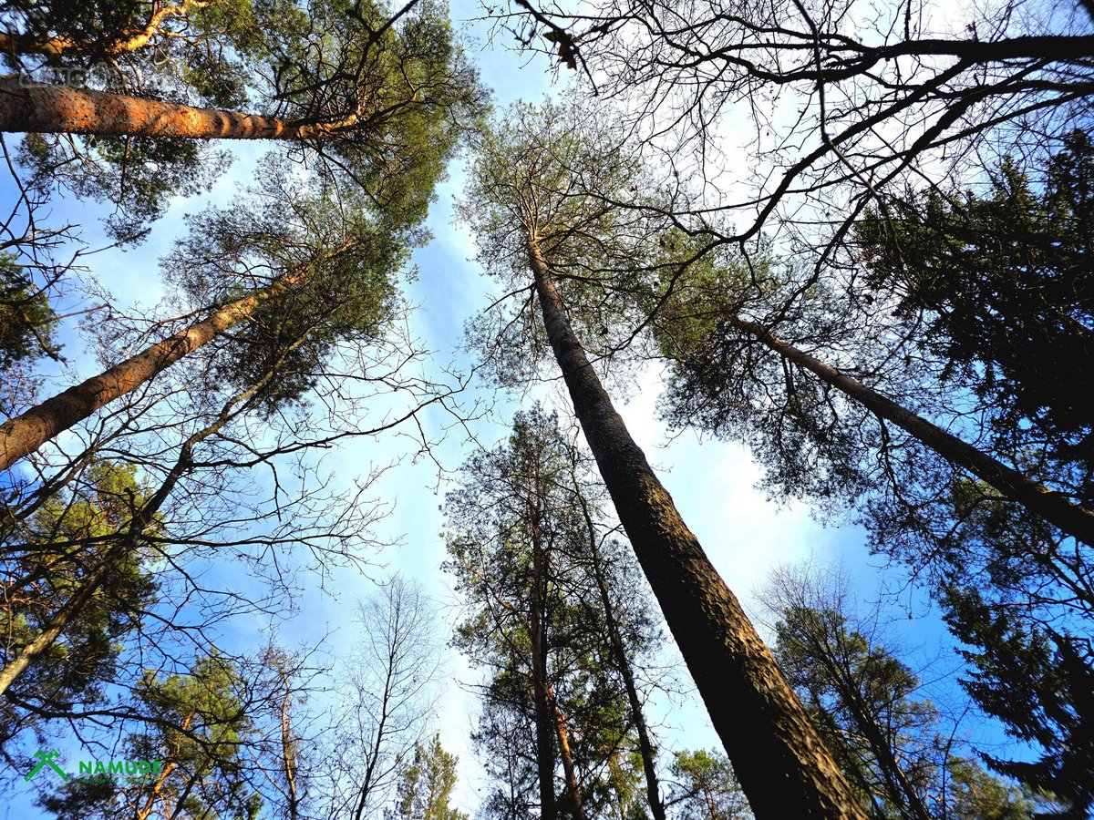 Išskirtinė 10,36 Ha Teritorija Šimonių - nuotraukos Nr. 8