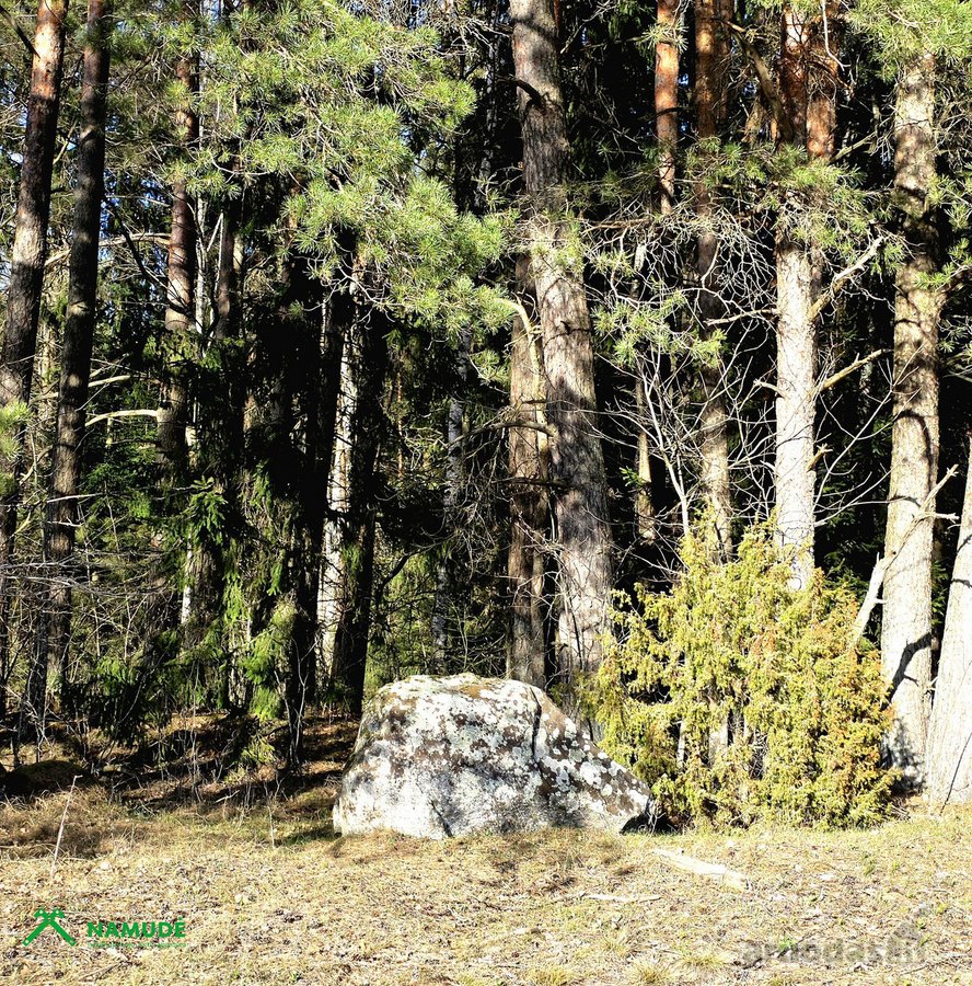 Išskirtinė 10,36 Ha Teritorija Šimonių - nuotraukos Nr. 9
