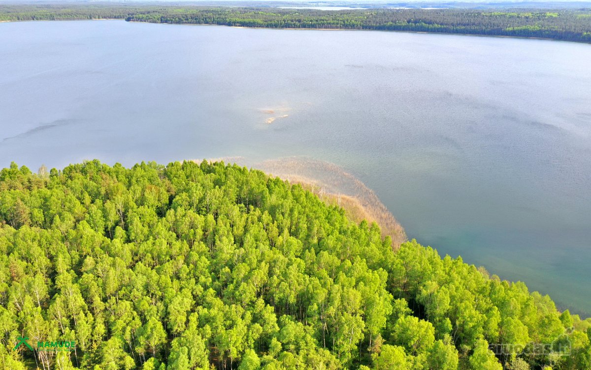 12 Ha Sklypas Su 200 Metrų Švento Ežero - nuotraukos Nr. 2