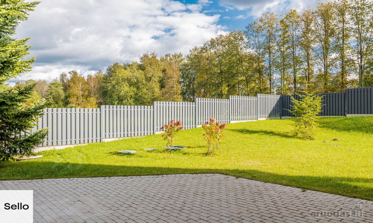  – Nt ekspertai be procentų - nuotraukos Nr. 7