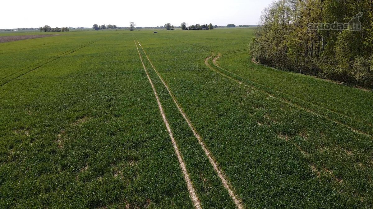 Parduodamas 5,64 ha žemės sklypas Jurbarko - nuotraukos Nr. 3