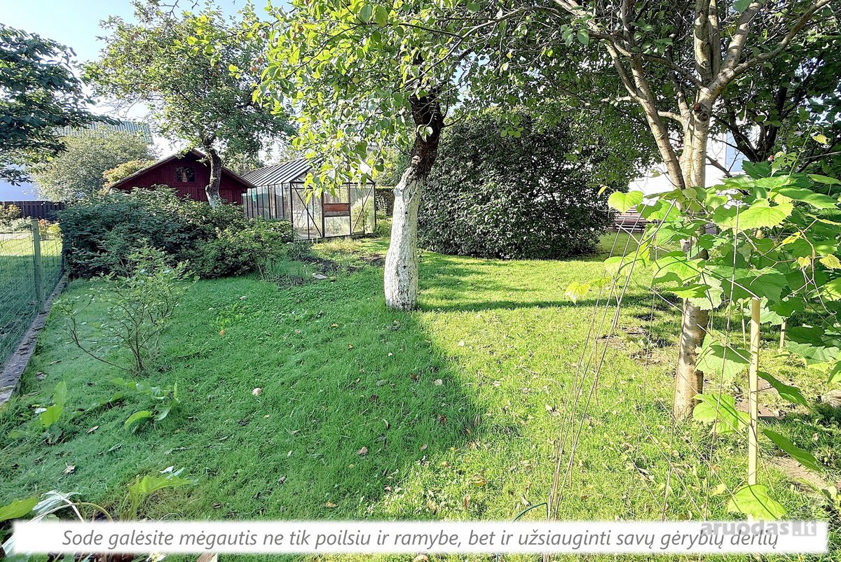 Gaivus oras, ramybė ir visos pramogos gamtoje - nuotraukos Nr. 24