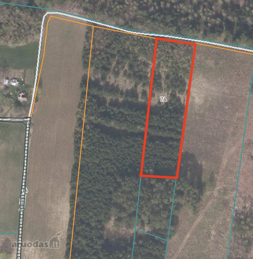 Sklypas pušyne. Kaina 20000 eur. - nuotraukos Nr. 7