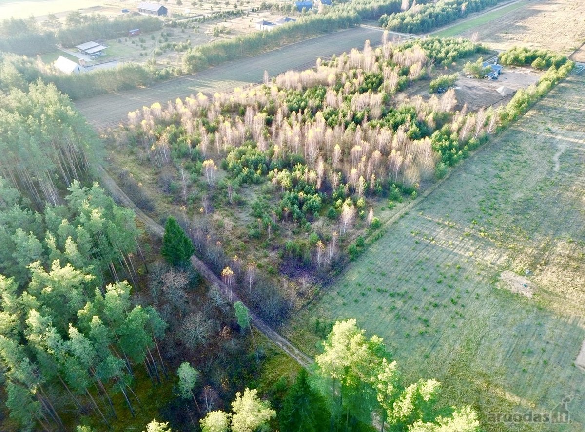 Parduodamas 25a namų valdos sklypas Trakų - nuotraukos Nr. 3