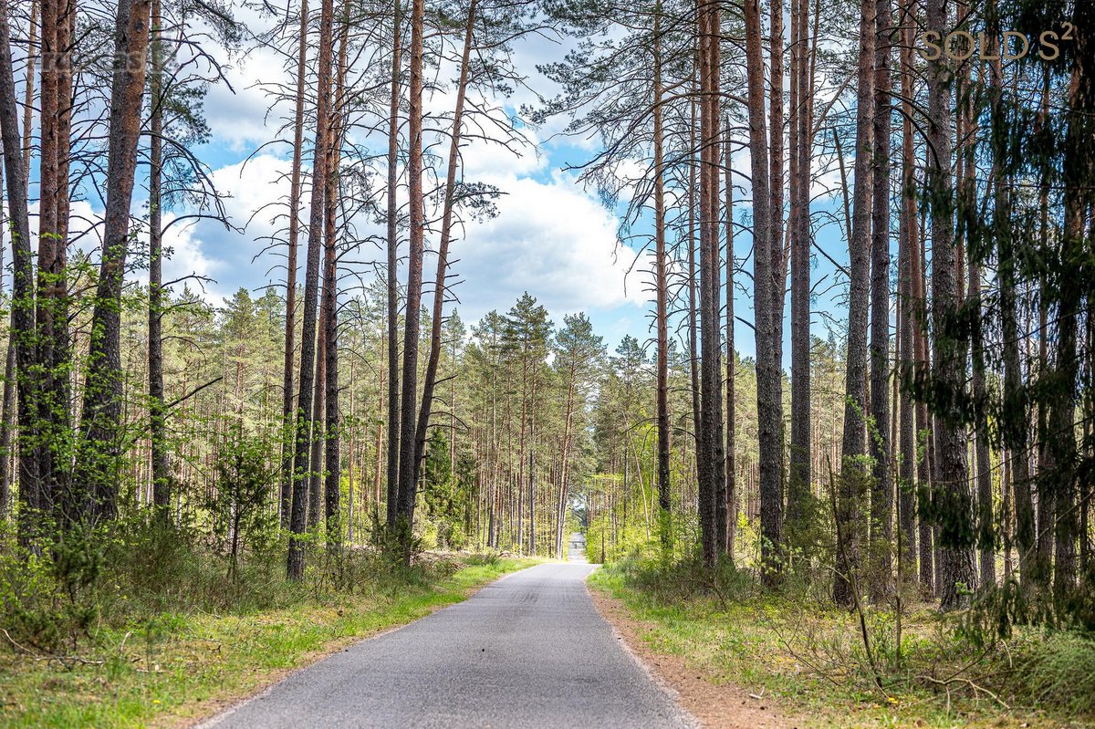 Stulbinančio privatumo ir ramybės apsuptyje - nuotraukos Nr. 6