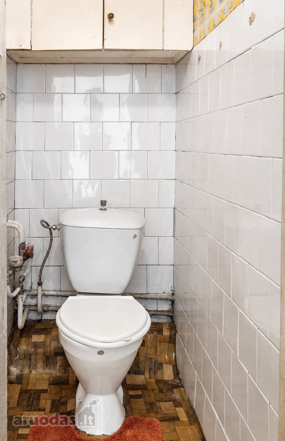 Ramioje ir žalumos apsuptoje Šiltnamių g., - nuotraukos Nr. 12