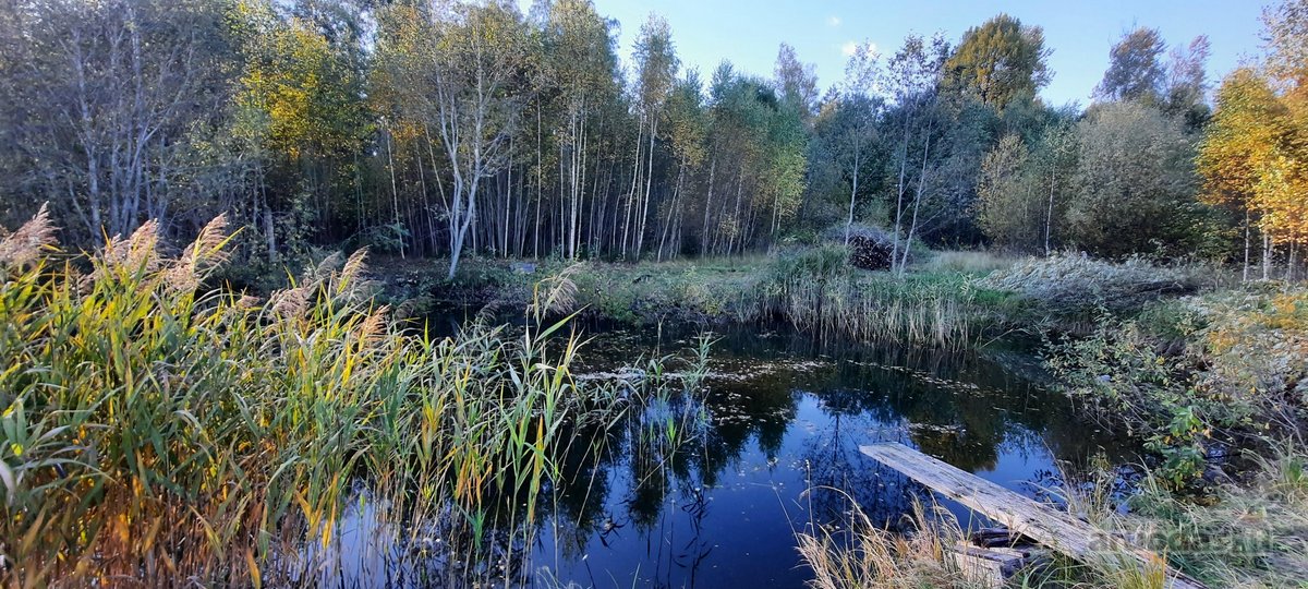 Parduodamas 8,9318 hektaro žemės sklypas su - nuotraukos Nr. 18