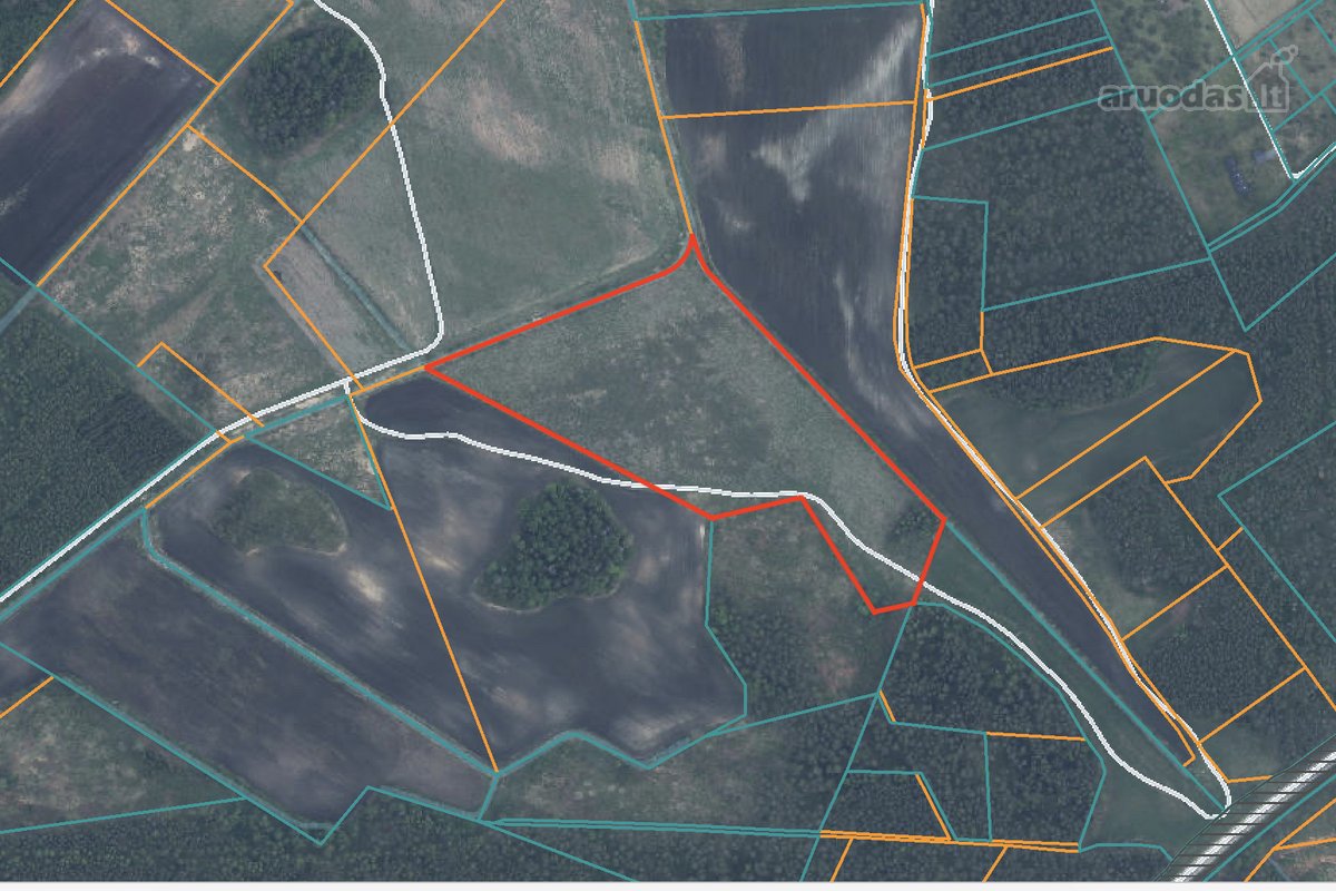 Parduodamas erdvus 5,44 ha žemės ūkio - nuotraukos Nr. 3