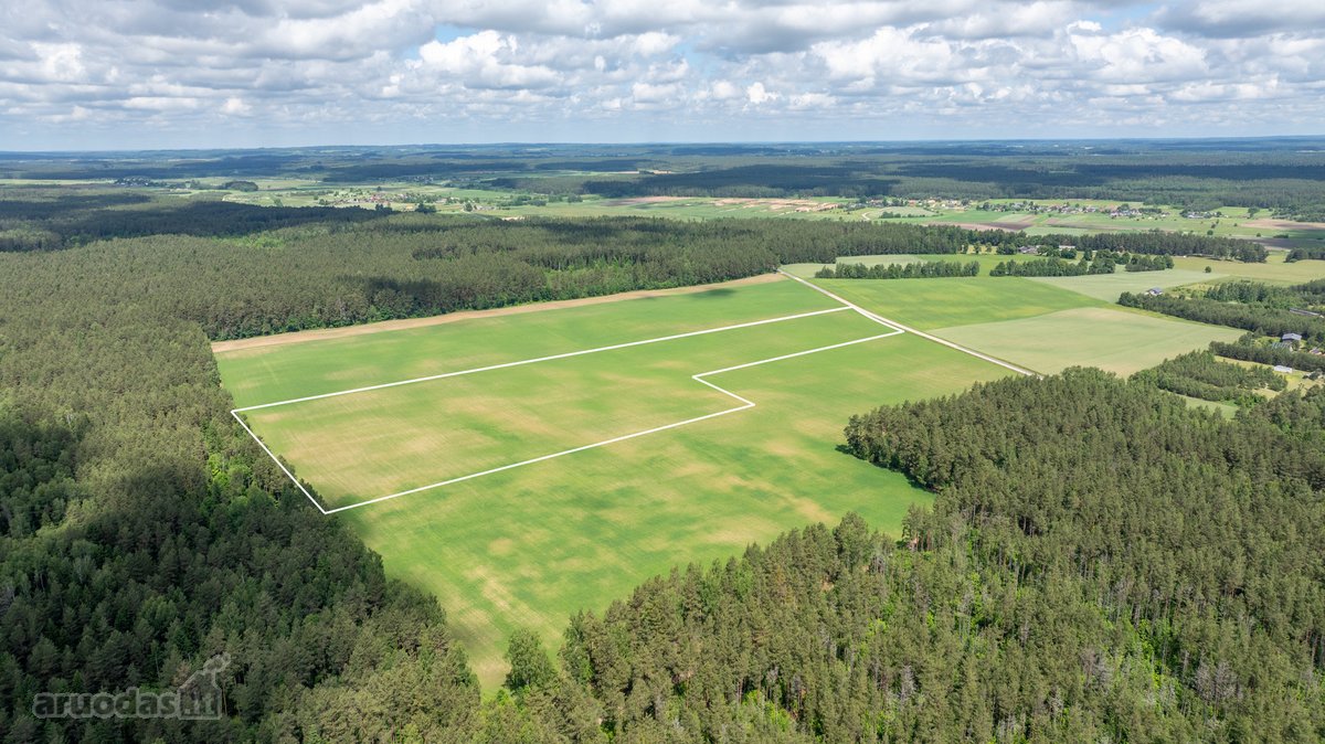 Parduodamas erdvus 5,99 ha žemės ūkio - nuotraukos Nr. 3
